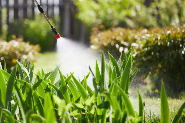 24/7 Emergency Termite Control experts in Jenkins, KY